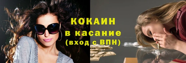 крисы Алексин