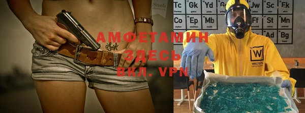 хмурый Алзамай