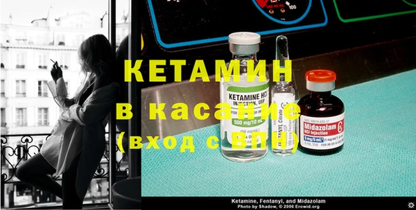 крисы Алексин