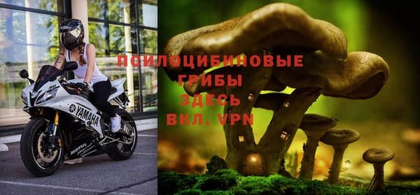 крисы Алексин
