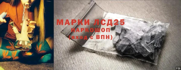 хмурый Алзамай