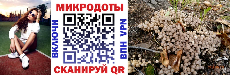 Псилоцибиновые грибы Cubensis  Суджа 